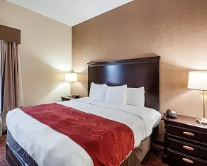 Comfort Suites Dulles Airport - Chambre