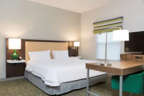 Hampton Inn & Suites East Lansing/Okemos - Chambre