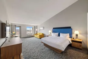 Hampton Inn & Suites by Hilton Mesquite - Chambre