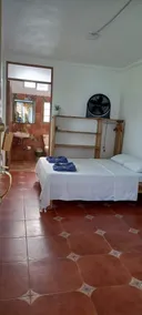 Hotel Pura Natura Beachfront Tortuguero - Chambre