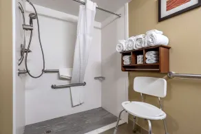 Comfort Inn & Suites Leeds I-20 - Salle de bain