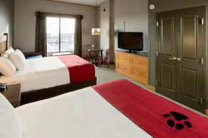 Great Wolf Lodge Bloomington - Vistas desde la habitación