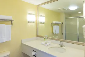 Holiday Inn Express Frackville Hotel By IHG - Bathroom