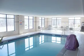 Hampton Inn Big Rapids - Piscine