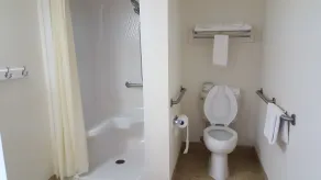 Econo Lodge Glade Springs I-81 - Badeværelse