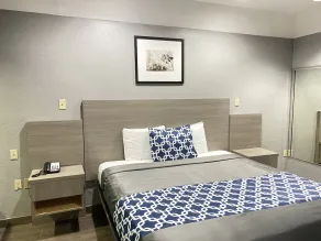Island Suites Hobby Airport - Chambre