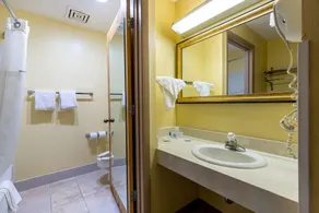 Ramada by Wyndham Columbus North - Salle de bain