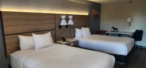 La Quinta by Wyndham St Petersburg-Clearwater - Værelse