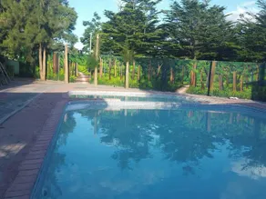 Royal Shalom Lodge - Pool
