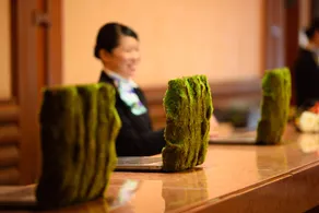 Hoshino Resorts Oirase Keiryu Hotel - Reception