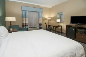 Hampton Inn & Suites Baton Rouge/Port Allen - Chambre