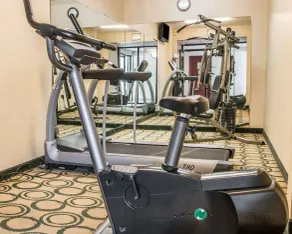 Comfort Inn Whitehall near Michigan's Adventure - Salle de remise en forme