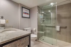 Drury Inn & Suites Atlanta Airport - Baño
