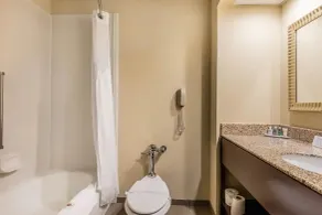 Comfort Inn & Suites Jasper Hwy 78 West - Badrum