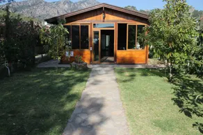 Sakin Vadi Winehouse - Reception