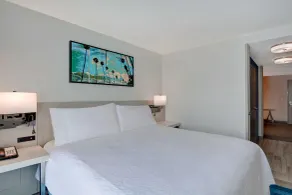 Hilton Garden Inn Jacksonville Orange Park - Chambre
