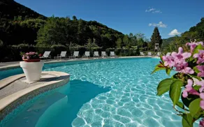 Logis Hôtel restaurant La Rivière - Pool