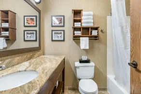 Comfort Inn Wings Stadium - Salle de bain