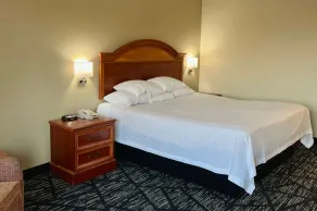 Baymont by Wyndham Troy - Chambre