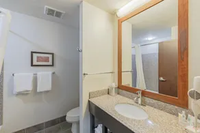 Comfort Suites Perrysburg - Toledo South - Salle de bain