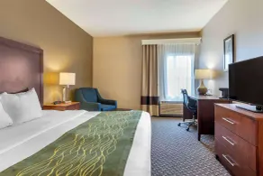 Comfort Inn Charlotte - Zimmer