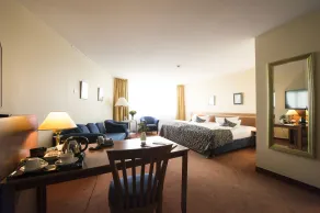 Carathotel Basel/Weil am Rhein - Room