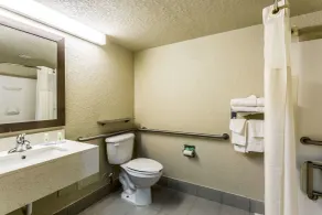 Quality Inn & Suites West El Paso I-10 - Salle de bain
