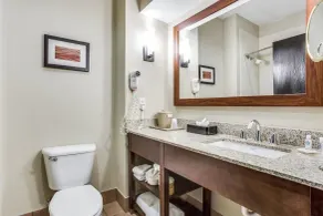 Comfort Inn & Suites Love Field-Dallas Market Center - Chambre