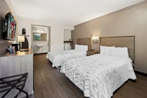 Red Roof Inn PLUS+ & Suites Naples Downtown-5th Ave S - Rum