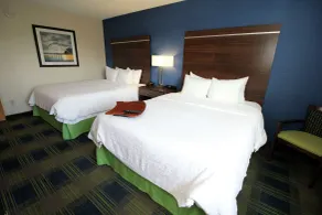 Hampton Inn Sandusky-Central - Chambre