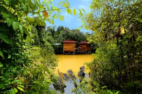Borneo Tropical Rainforest Resort - Vue de la chambre