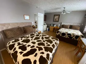 Wolseley Motel - Room