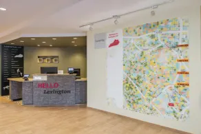 TownePlace Suites by Marriott Lexington South/Hamburg Place - Rezeption