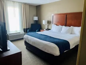 Comfort Inn Randolph-Boston - Chambre