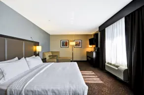 Holiday Inn Express Romulus / Detroit Airport by IHG - Chambre