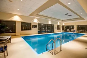 Homewood Suites by Hilton Chicago-Downtown - Piscine