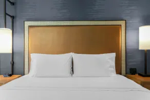 Hampton Inn & Suites Austin Downtown - Room