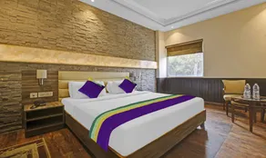 Treebo Premium Arista - Room