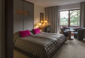 Hotel SPA Dr Irena Eris Krynica Zdrój - Room
