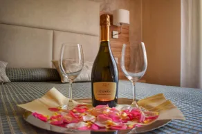 Hotel Giardino - Room