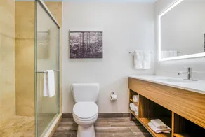 La Quinta by Wyndham Twin Falls - Salle de bain