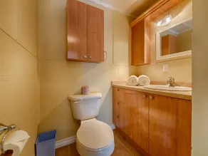 Villa du Nord Morin Heights - Badezimmer