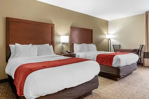 Comfort Inn & Suites Cincinnati Eastgate - Chambre