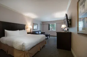 Prestige Inn Nelson - Chambre