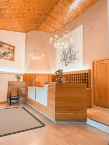 Puigcerda Park Hotel - Resepsjon