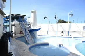 J&V Hotel and Resort - Piscine