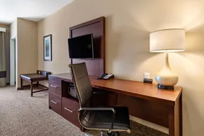 Comfort Suites Kyle - Chambre
