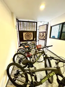 Downtown Treasure Place - Receção