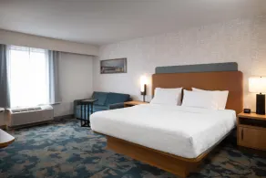 Hampton Inn & Suites La Crosse Downtown - Chambre