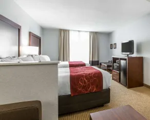 Comfort Suites Downtown Sacramento - Chambre